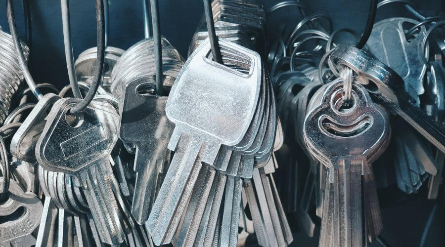 Professional gutter cleaning in Owyhee, NV